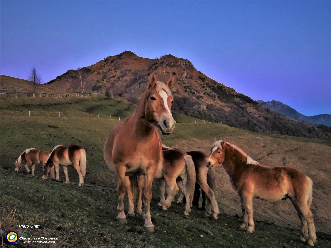 06 Con i cavalli alla Forcella di spettino al rientro con tramonto inoltrato.JPG